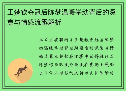 王楚钦夺冠后陈梦温暖举动背后的深意与情感流露解析
