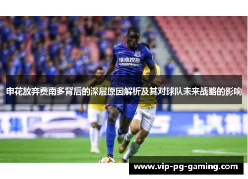 申花放弃费南多背后的深层原因解析及其对球队未来战略的影响