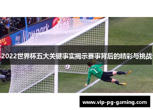 2022世界杯五大关键事实揭示赛事背后的精彩与挑战