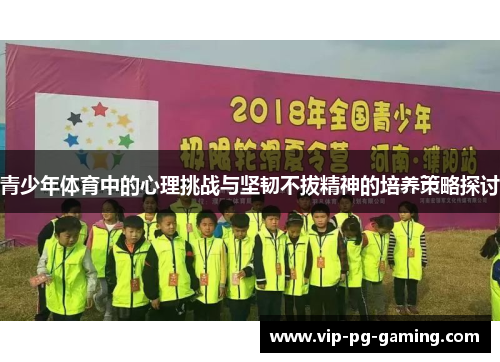 青少年体育中的心理挑战与坚韧不拔精神的培养策略探讨