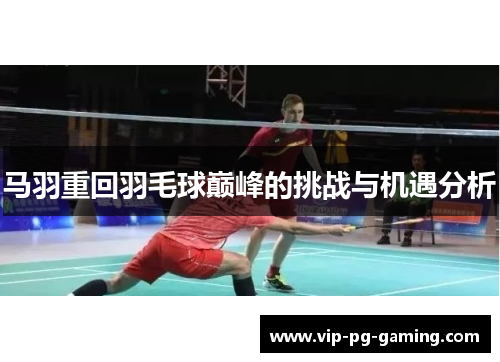 马羽重回羽毛球巅峰的挑战与机遇分析
