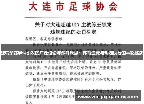 魏震禁赛事件引发的广泛讨论与深刻反思：体育道德与规则执行的平衡挑战