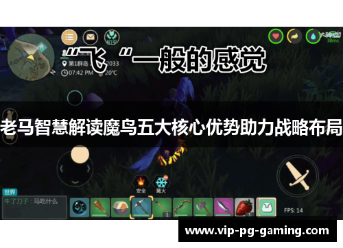 老马智慧解读魔鸟五大核心优势助力战略布局