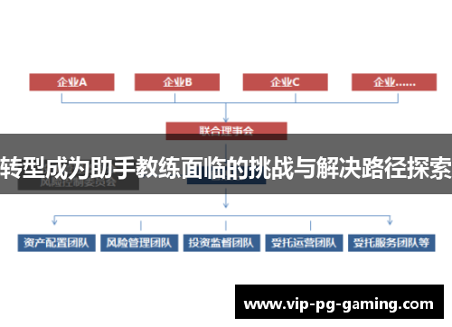 转型成为助手教练面临的挑战与解决路径探索